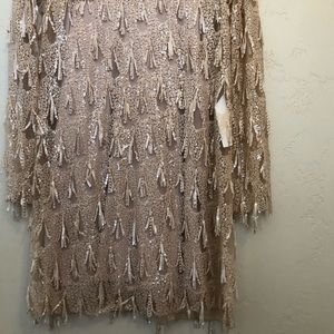 Zara Gold Sequin Dress